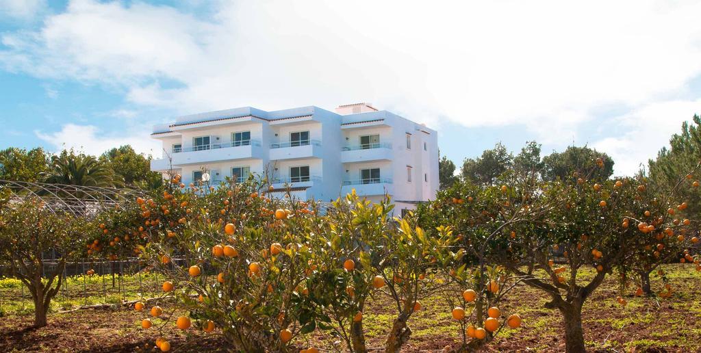 Sunset Oasis Ibiza Adults Only - New Rooms 2025 San Antonio  Bagian luar foto