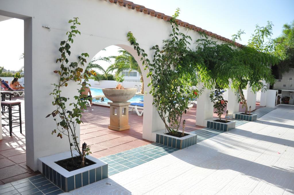 Sunset Oasis Ibiza Adults Only - New Rooms 2025 San Antonio  Bagian luar foto