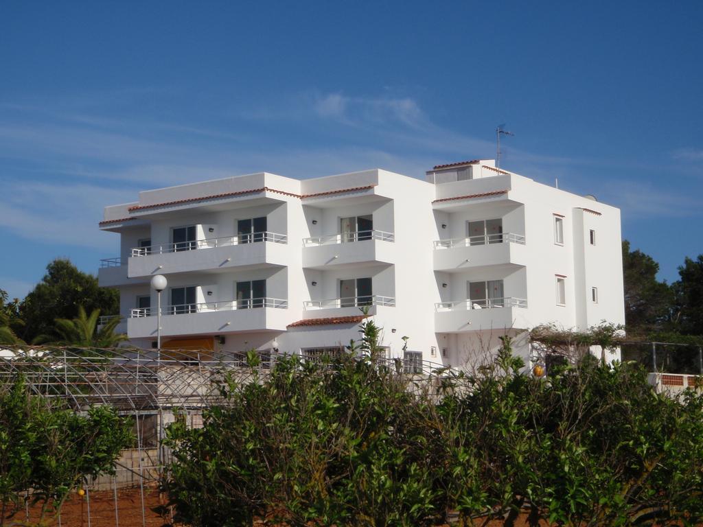 Sunset Oasis Ibiza Adults Only - New Rooms 2025 San Antonio  Bagian luar foto